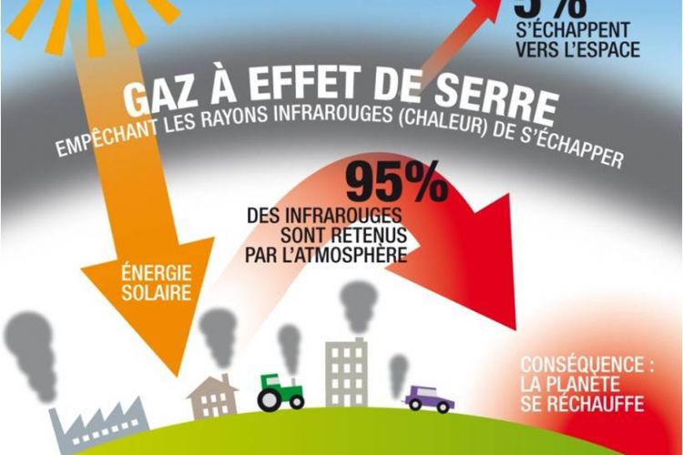 <b>MCDONALD’S, pour une diminution des émissions de gaz à effet de serre </b>