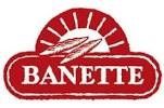 <b>BANETTE Formation</b>