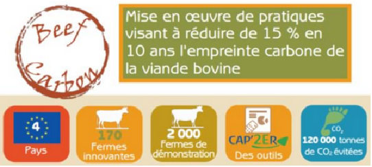 <b>BEEF CARBON, la réduction des émissions des élevages bovins</b>