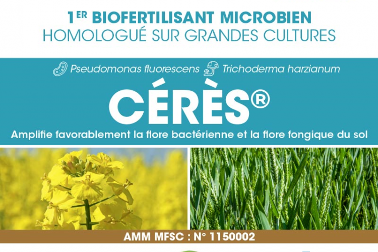 <b>BIOVITIS, sourcer la nature pour ressourcer le futur</b>