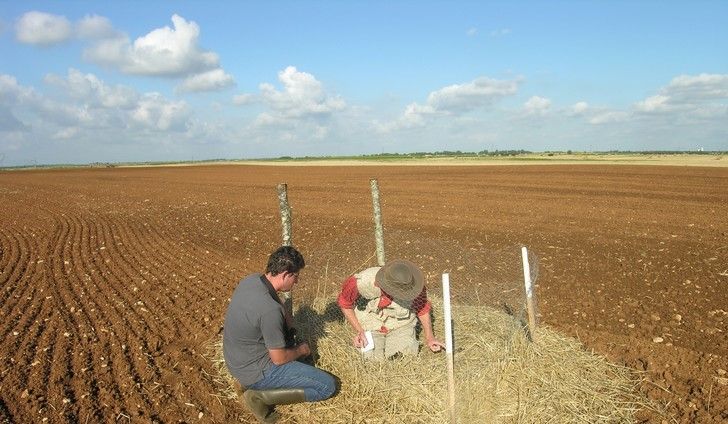 <b>CENTRE D'ETUDES BIOLOGIQUES DE CHIZÉ, pour un mieux être des agriculteurs</b>