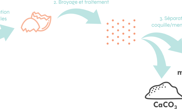 <b>CIRCUL'EGG, la valorisation de biodéchets issus de casseries d'œufs</b>