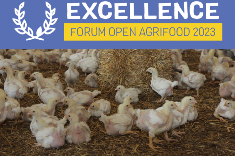 Identifier des évolutions du système d’élevage de poulet conventionnel conciliant prix et attentes sociétales avec le projet Cocorico