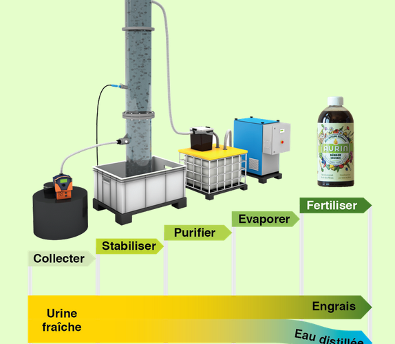 <b>ECOLE POLYTECHNIQUE DE ZÜRICH : L’urine, un fertilisant naturel pour les sols</b>