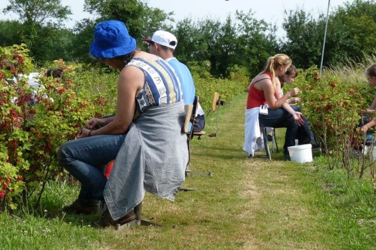 <b>LA HAIE GOURMANDE Diversité fruits</b>