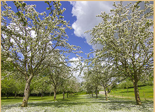 <b>MAISON ECUSSON Biodiversité normande</b>