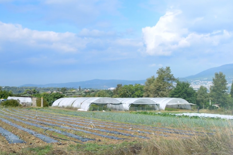 <b>LA MAISON DE L'EDUCATION A L'ALIMENTATION DURABLE (MEAD)</b>