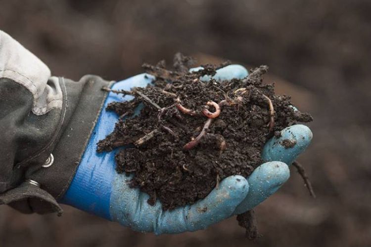 <b>MOULINOT, Créateur de compost haute couture à partir de déchets alimentaires</b>