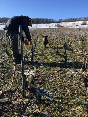 Les Excellences Open-agrifood