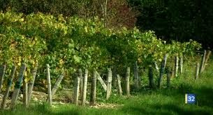 <b>SOUFFLET Vignes</b>