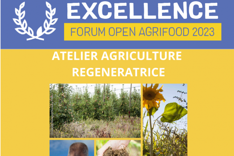 Un atelier ludique pour mieux comprendre les enjeux de l’agriculture régénératrice avec Laurent MURATET et Didier MOREAU