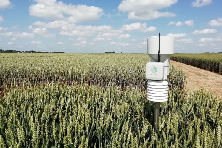 <b>WEENAT, des capteurs connectés optimisant les pratiques agricoles</b>